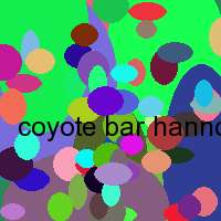 coyote bar hannover