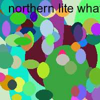 northern lite what you want mp3