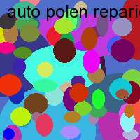 auto polen reparieren